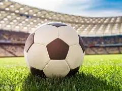 白百何携幼,童出行引二,胎猜测,开云体育,开云体育官网,开云体育app,开云体育平台,KAIYUN,SPORTS,kaiyun登录入口