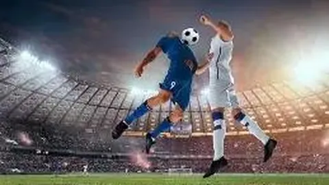 开云体育官网登录入口 资讯 132600 o3p