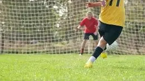 开云体育官网登录入口 资讯 131517 fd0