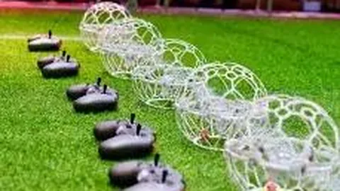 开云体育官网登录入口 资讯 132600 nbo