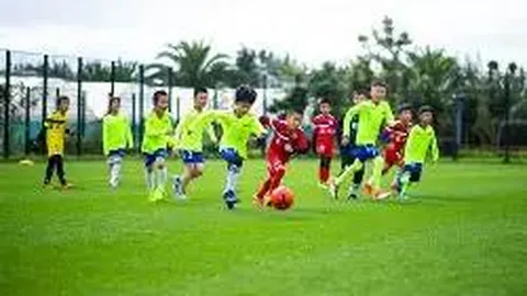 开云体育官网登录入口 资讯 102732 y1b