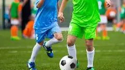 开云体育官网登录入口